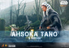 Hot Toys Ahsoka Tano and Grogu Sixth Scale Figure Set