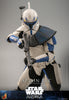 Hot Toys Captain Rex Sixth Scale Figure
