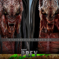Hot Toys Feral Predator Sixth Scale Figure
