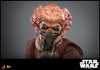 Hot Toys Plo Koon™ Sixth Scale Figure