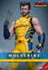 Hot Toys Wolverine (Deluxe Version) Sixth Scale Figure