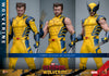 Hot Toys Wolverine (Deluxe Version) Sixth Scale Figure