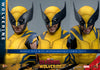 Hot Toys Wolverine (Deluxe Version) Sixth Scale Figure