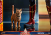 Hot Toys Captain Marvel Deluxe Sixth Scale Figure
