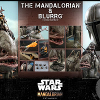 Hot Toys Mandalorian & Blurrg Sixth Scale Figure Set