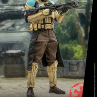 Hot Toys Shoretrooper Squad Leader Rogue One Sixth Scale Figure
