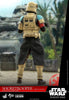 Hot Toys Shoretrooper Squad Leader Rogue One Sixth Scale Figure