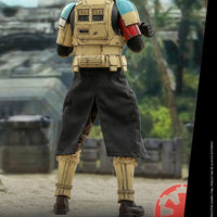 Hot Toys Shoretrooper Squad Leader Rogue One Sixth Scale Figure
