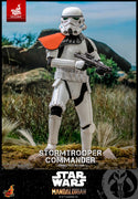 Hot Toys Stormtrooper Commander Sixth Scale Figure