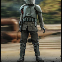 Hot Toys Transport Trooper Sixth Scale Figure