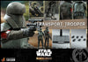 Hot Toys Transport Trooper Sixth Scale Figure