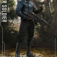 Hot Toys Winter Soldier Sixth Scale Figure