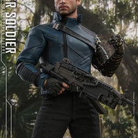 Hot Toys Winter Soldier Sixth Scale Figure